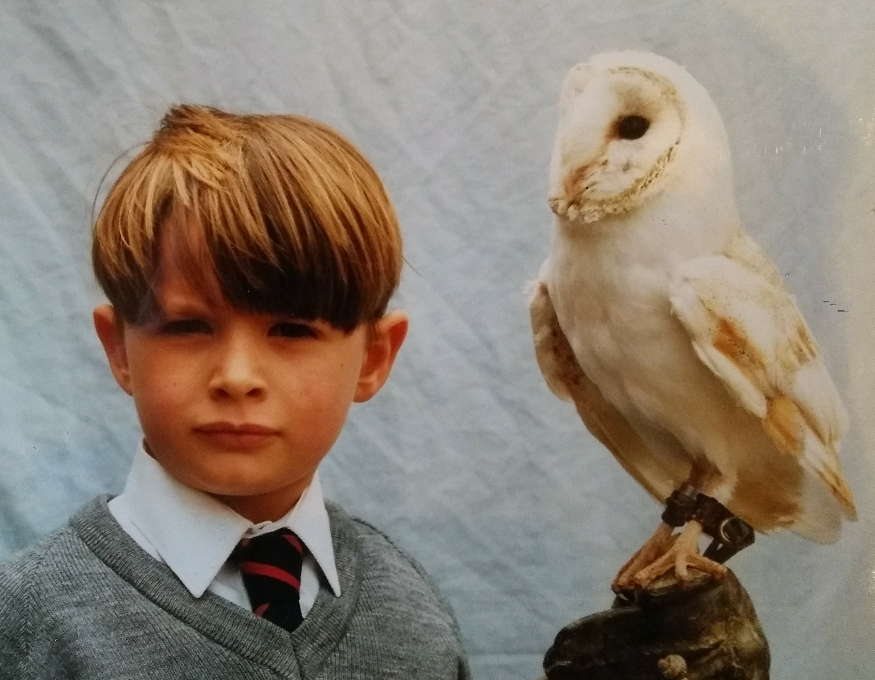 Owl